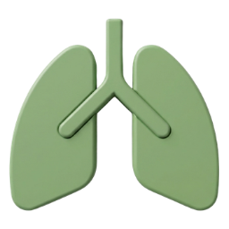 Pernapasan & Tenggorokan