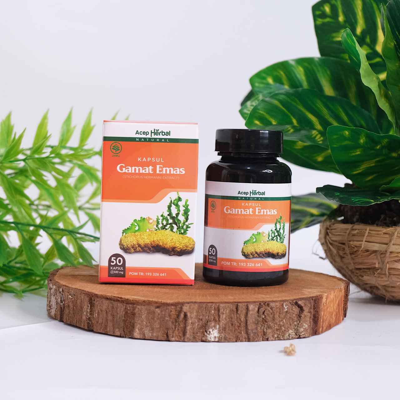 Gamat Emas Kapsul